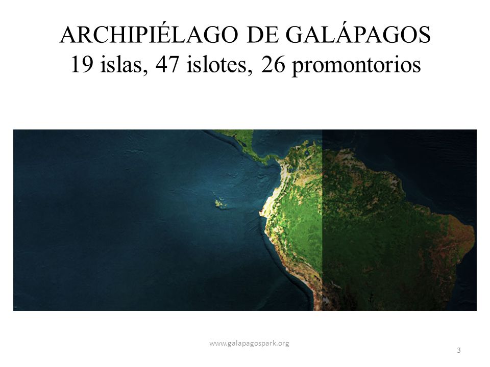 ARCHIPIÉLAGO DE GALÁPAGOS 19 islas, 47 islotes, 26 promontorios