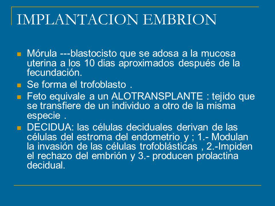 IMPLANTACION EMBRION Mórula ---blastocisto que se adosa a la mucosa uterina a los 10 dias aproximados después de la fecundación.