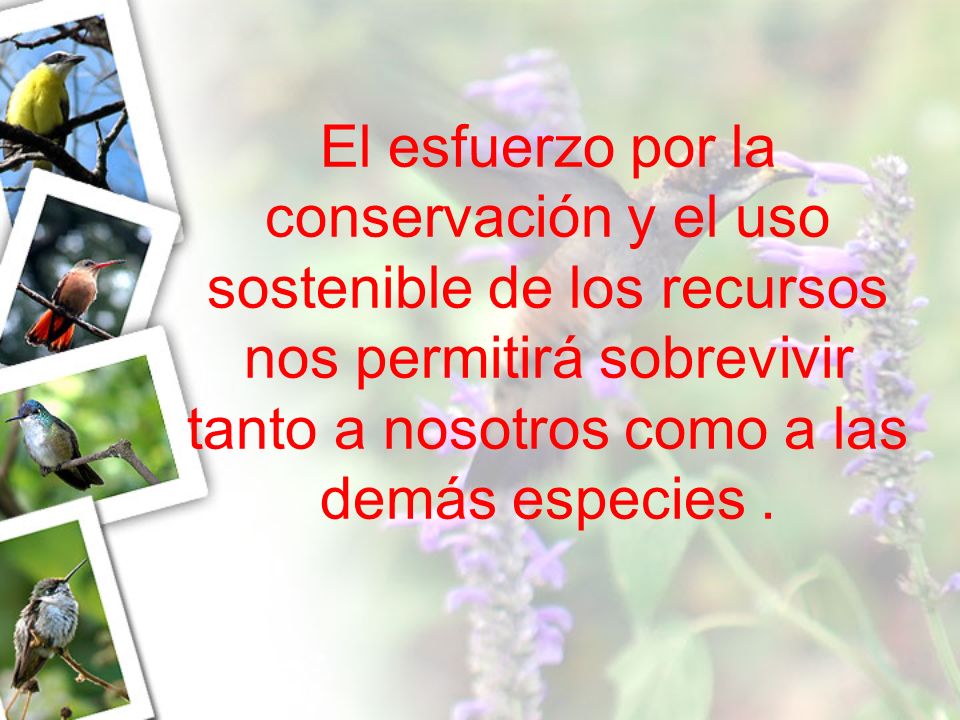 El esfuerzo por la conservación y el uso sostenible de los recursos nos permitirá sobrevivir tanto a nosotros como a las demás especies .