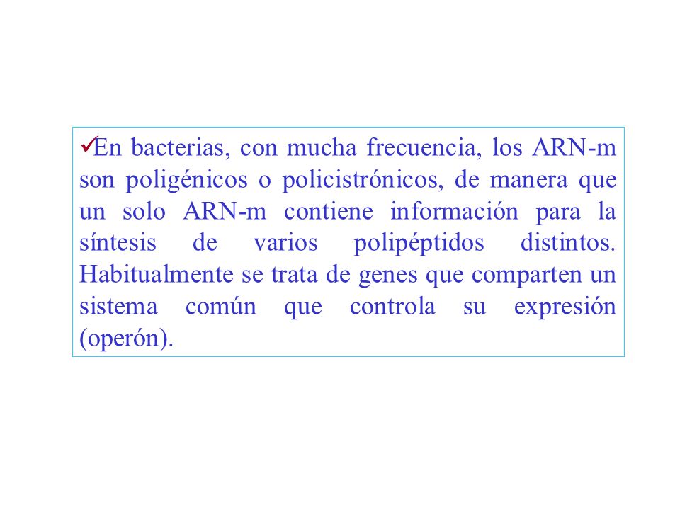 En bacterias, con mucha frecuencia, los ARN-m son poligénicos o policistrónicos, de manera que un solo ARN-m contiene información para la síntesis de varios polipéptidos distintos.