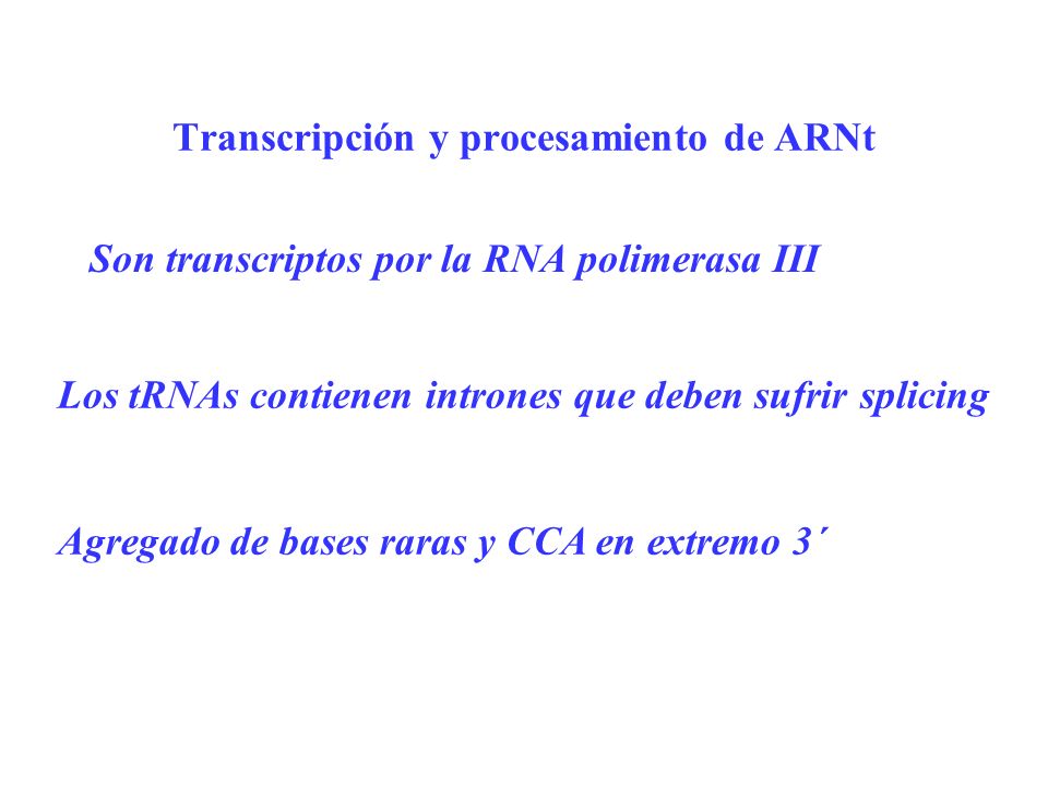 Transcripción y procesamiento de ARNt