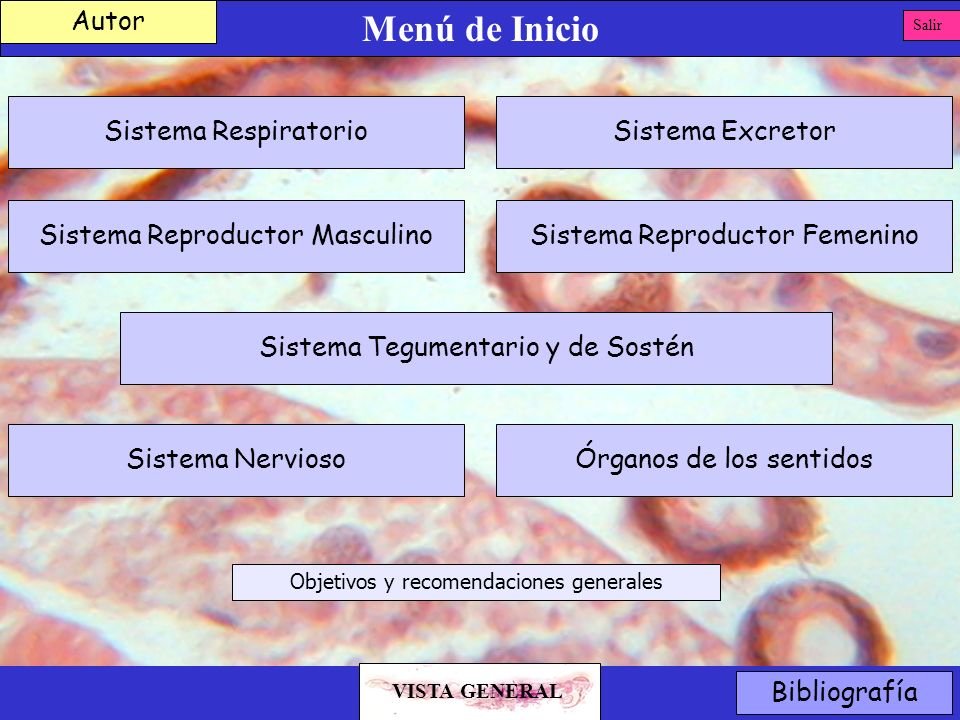 Menú de Inicio Autor Sistema Respiratorio Sistema Excretor