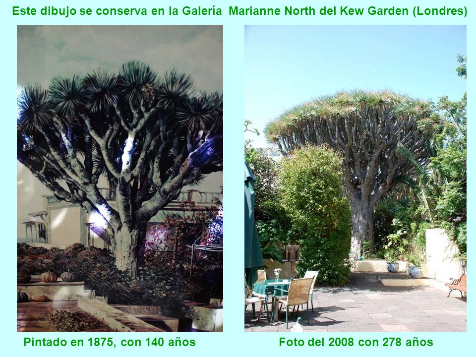 Pintado en 1875, con 140 años Foto del 2008 con 278 años