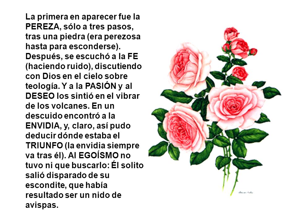 La primera en aparecer fue la PEREZA, sólo a tres pasos, tras una piedra (era perezosa hasta para esconderse).