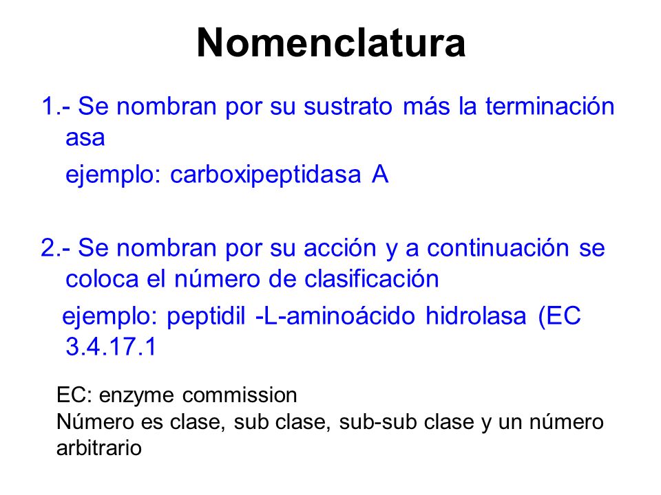 Nomenclatura 1.- Se nombran por su sustrato más la terminación asa