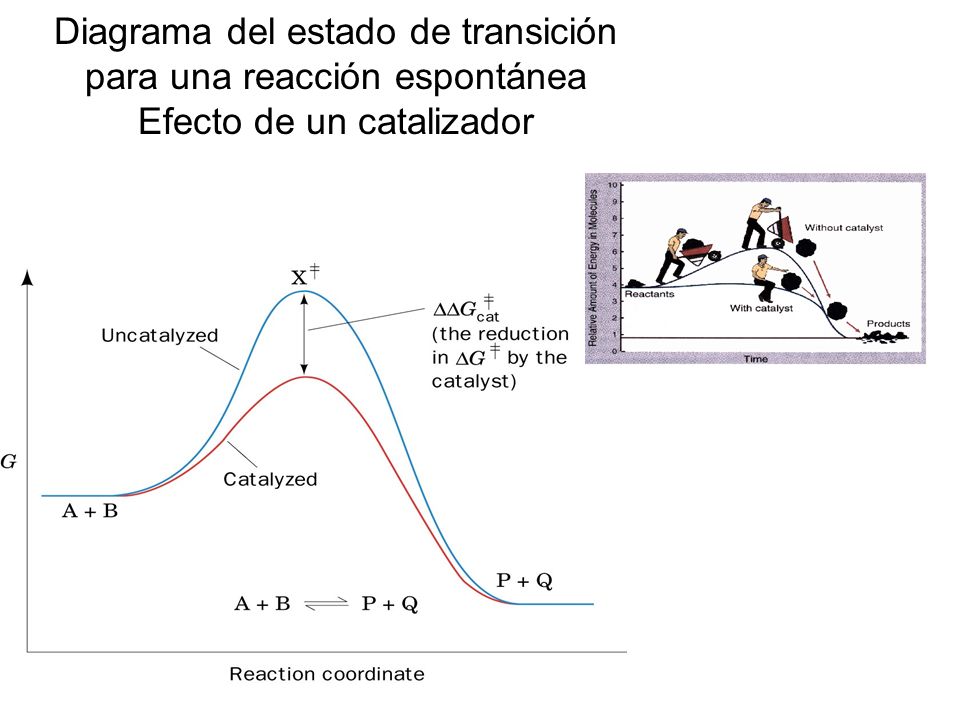 Diagrama del estado de transición para una reacción espontánea Efecto de un catalizador