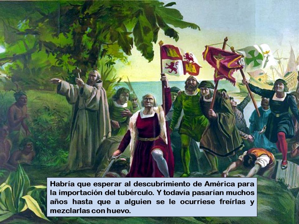 Habría que esperar al descubrimiento de América para la importación del tubérculo.