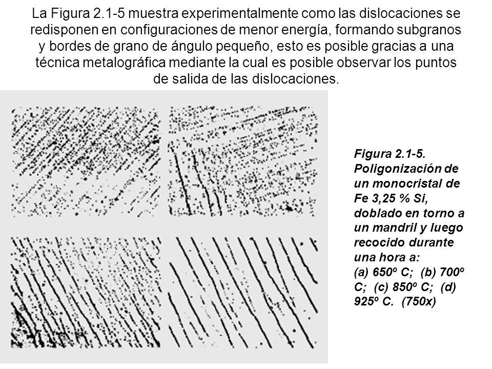 La Figura muestra experimentalmente como las dislocaciones se redisponen en configuraciones de menor energía, formando subgranos y bordes de grano de ángulo pequeño, esto es posible gracias a una técnica metalográfica mediante la cual es posible observar los puntos de salida de las dislocaciones.