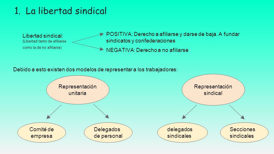 La libertad sindical POSITIVA: Derecho a afiliarse y darse de baja. A fundar sindicatos y confederaciones.