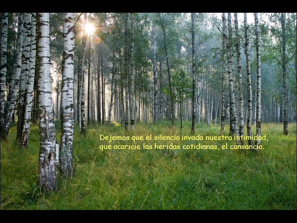Dejemos que el silencio invada nuestra intimidad, que acaricie las heridas cotidianas, el cansancio.