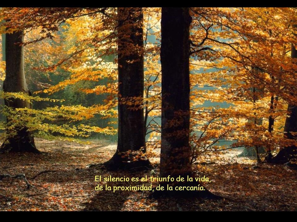 El silencio es el triunfo de la vida, de la proximidad, de la cercanía.