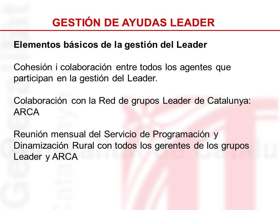 GESTIÓN DE AYUDAS LEADER
