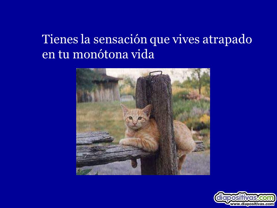 Tienes la sensación que vives atrapado en tu monótona vida