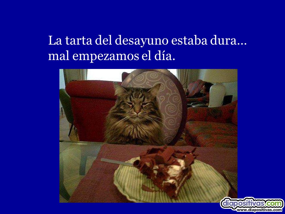 La tarta del desayuno estaba dura… mal empezamos el día.