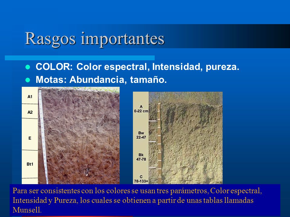 Rasgos importantes COLOR: Color espectral, Intensidad, pureza.