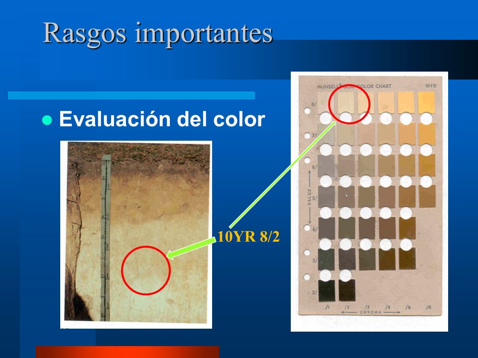 Rasgos importantes 10YR 8/2 Evaluación del color
