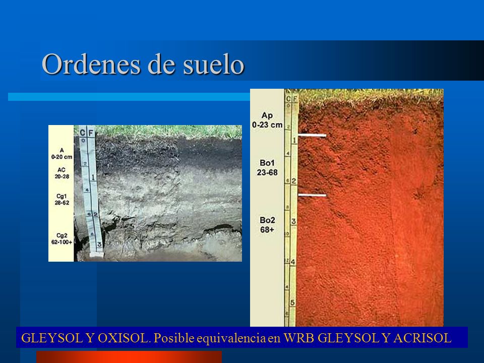 Ordenes de suelo GLEYSOL Y OXISOL. Posible equivalencia en WRB GLEYSOL Y ACRISOL