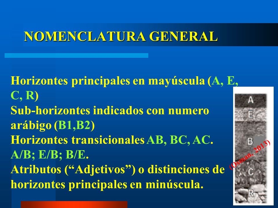 NOMENCLATURA GENERAL Horizontes principales en mayúscula (A, E, C, R)