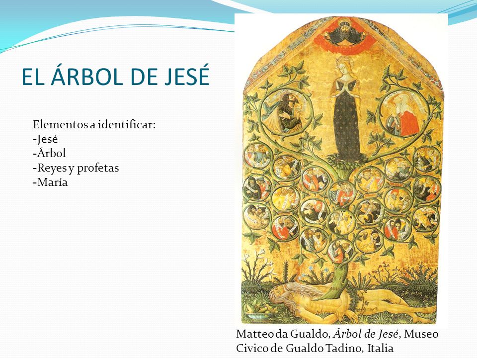 EL ÁRBOL DE JESÉ Elementos a identificar: Jesé Árbol Reyes y profetas