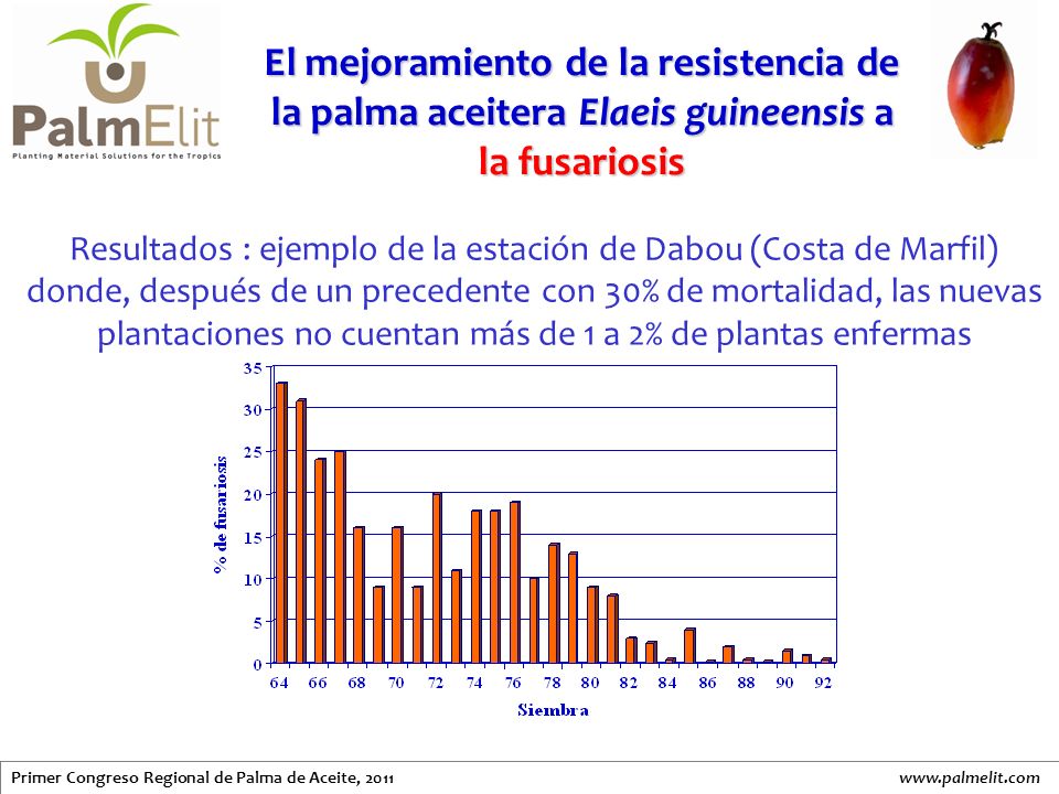 El mejoramiento de la resistencia de la palma aceitera Elaeis guineensis a la fusariosis