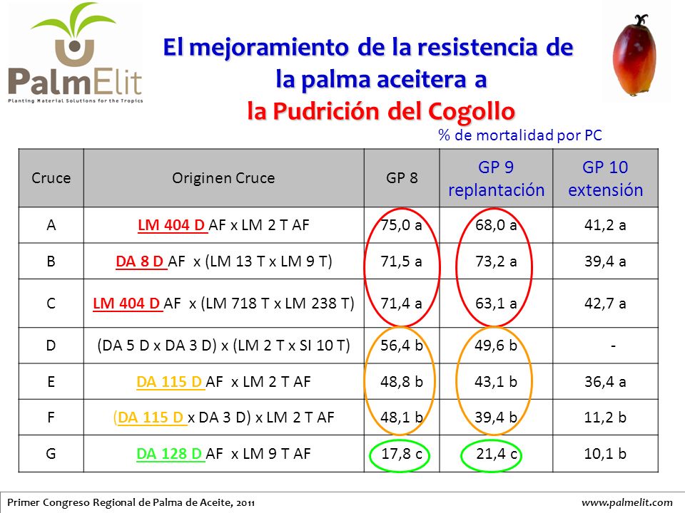El mejoramiento de la resistencia de la palma aceitera a la Pudrición del Cogollo