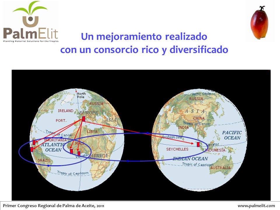 Un mejoramiento realizado con un consorcio rico y diversificado