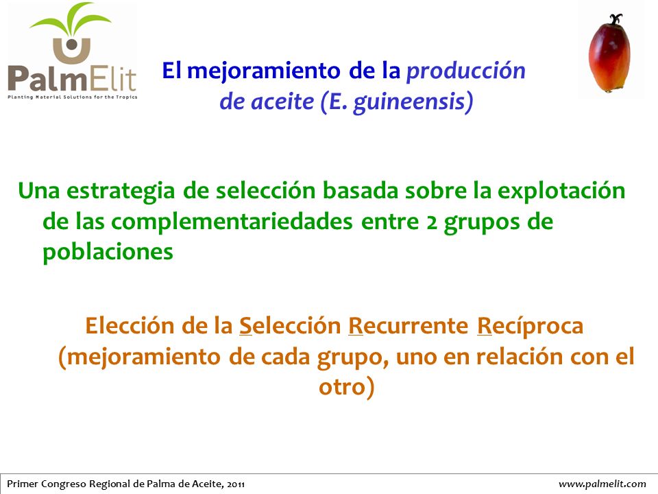 El mejoramiento de la producción de aceite (E. guineensis)