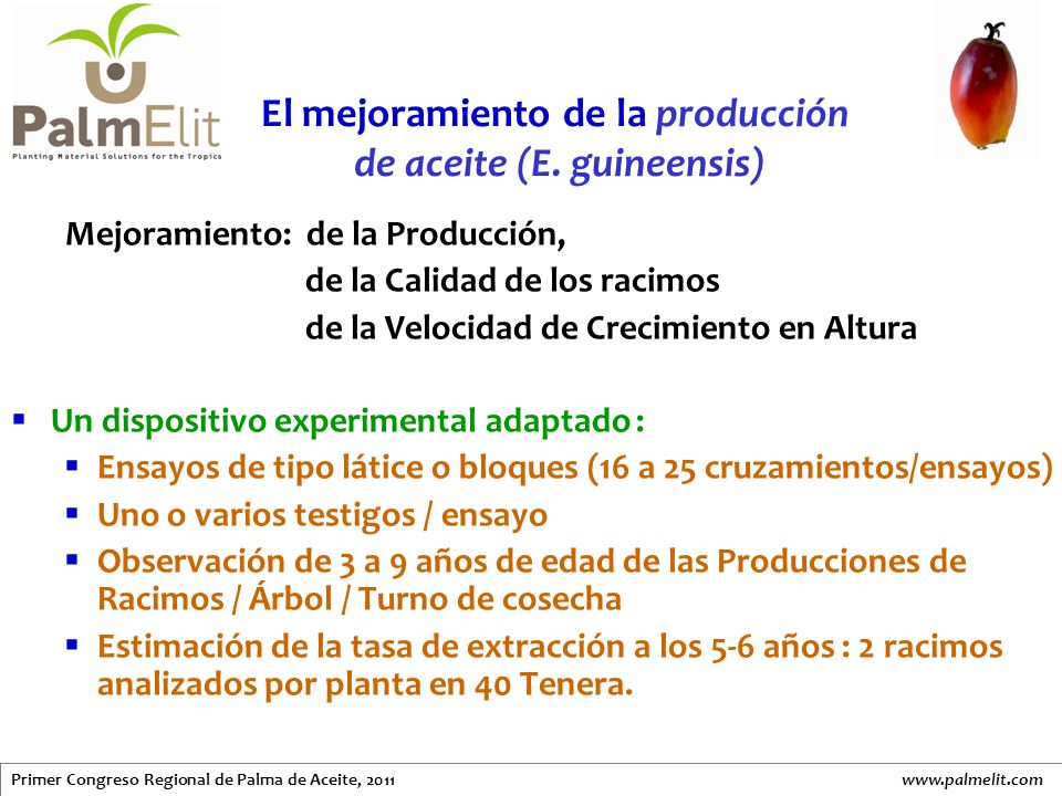 El mejoramiento de la producción de aceite (E. guineensis)