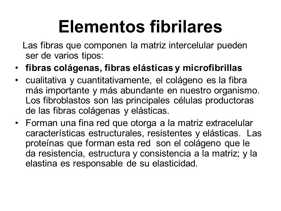 Elementos fibrilares Las fibras que componen la matriz intercelular pueden ser de varios tipos: fibras colágenas, fibras elásticas y microfibrillas.