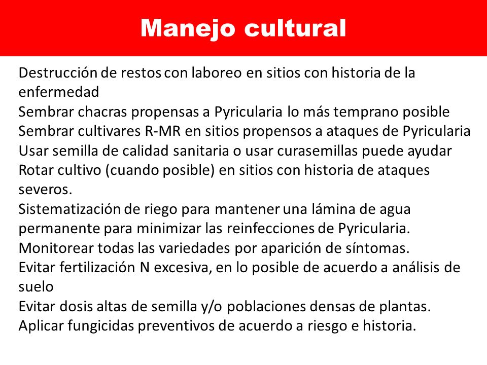 Manejo cultural Destrucción de restos con laboreo en sitios con historia de la enfermedad.