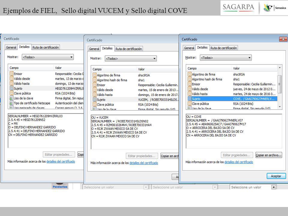 Ejemplos de FIEL, Sello digital VUCEM y Sello digital COVE