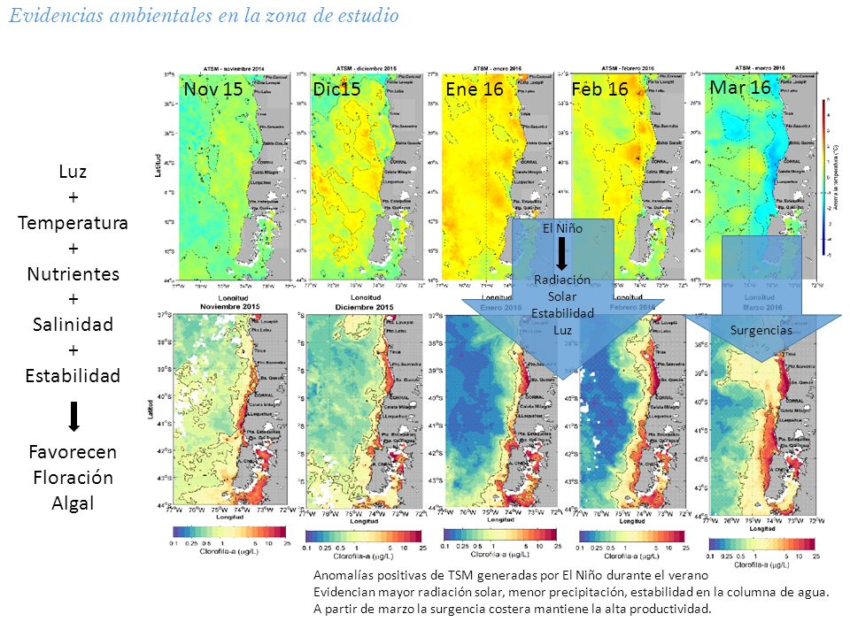 Nov 15 Dic15 Ene 16 Feb 16 Mar Luz + Temperatura Nutrientes