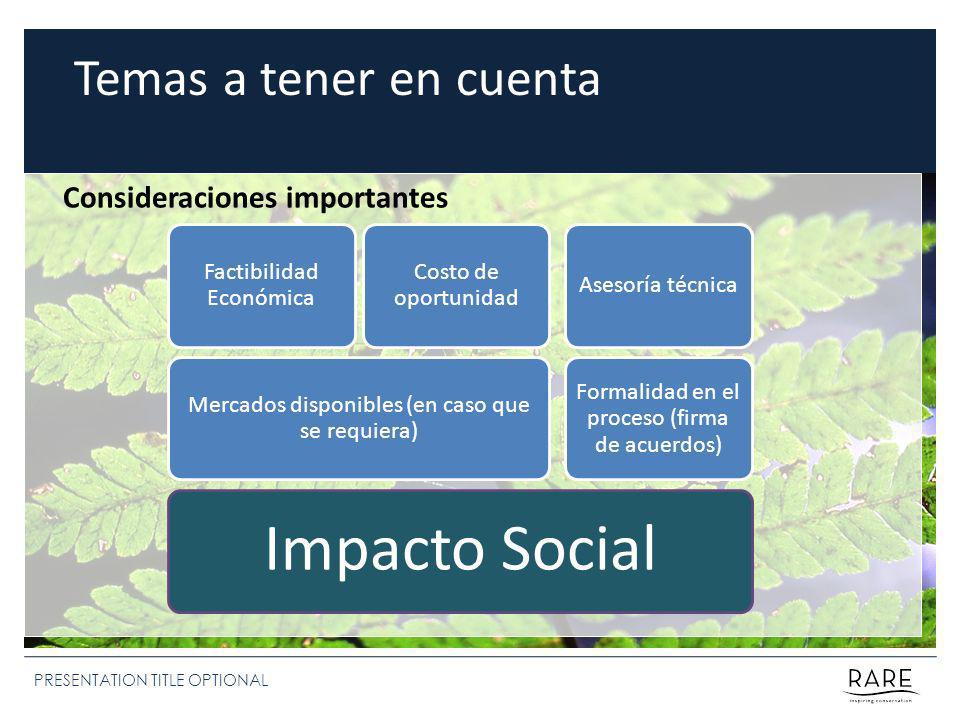 Impacto Social Temas a tener en cuenta Consideraciones importantes