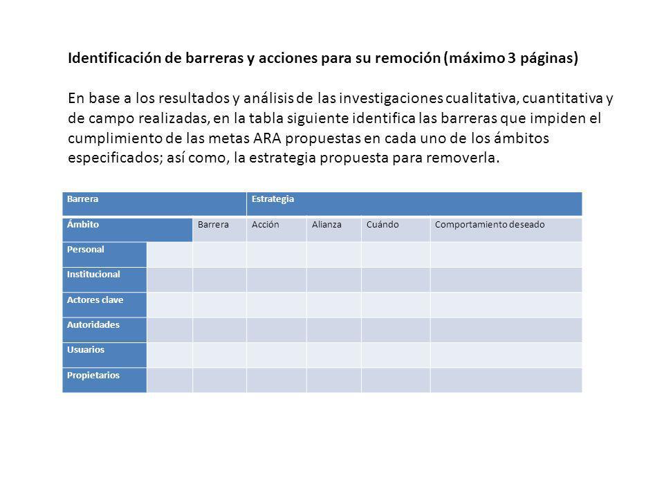 Identificación de barreras y acciones para su remoción (máximo 3 páginas)
