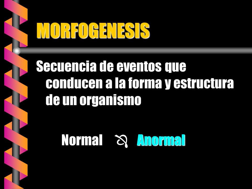 MORFOGENESIS Secuencia de eventos que conducen a la forma y estructura de un organismo.
