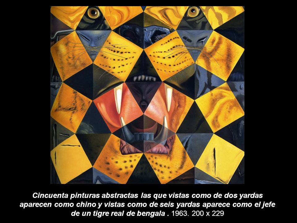 Cincuenta pinturas abstractas las que vistas como de dos yardas aparecen como chino y vistas como de seis yardas aparece como el jefe de un tigre real de bengala .
