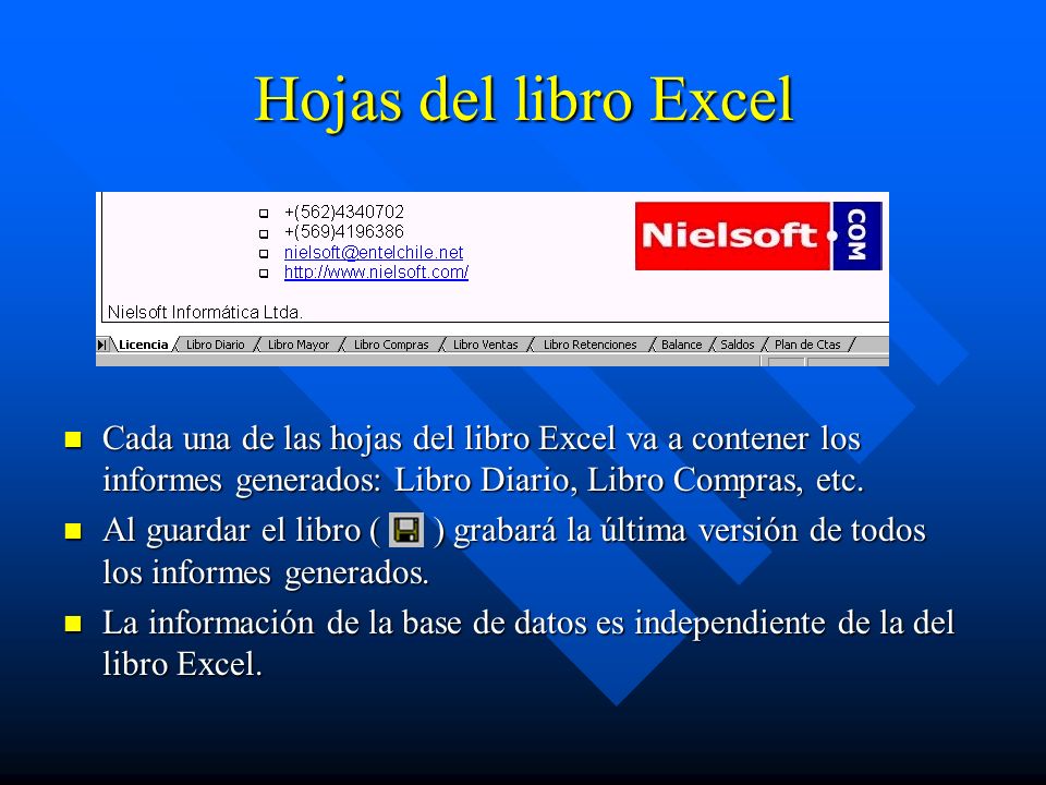 Hojas del libro Excel Cada una de las hojas del libro Excel va a contener los informes generados: Libro Diario, Libro Compras, etc.