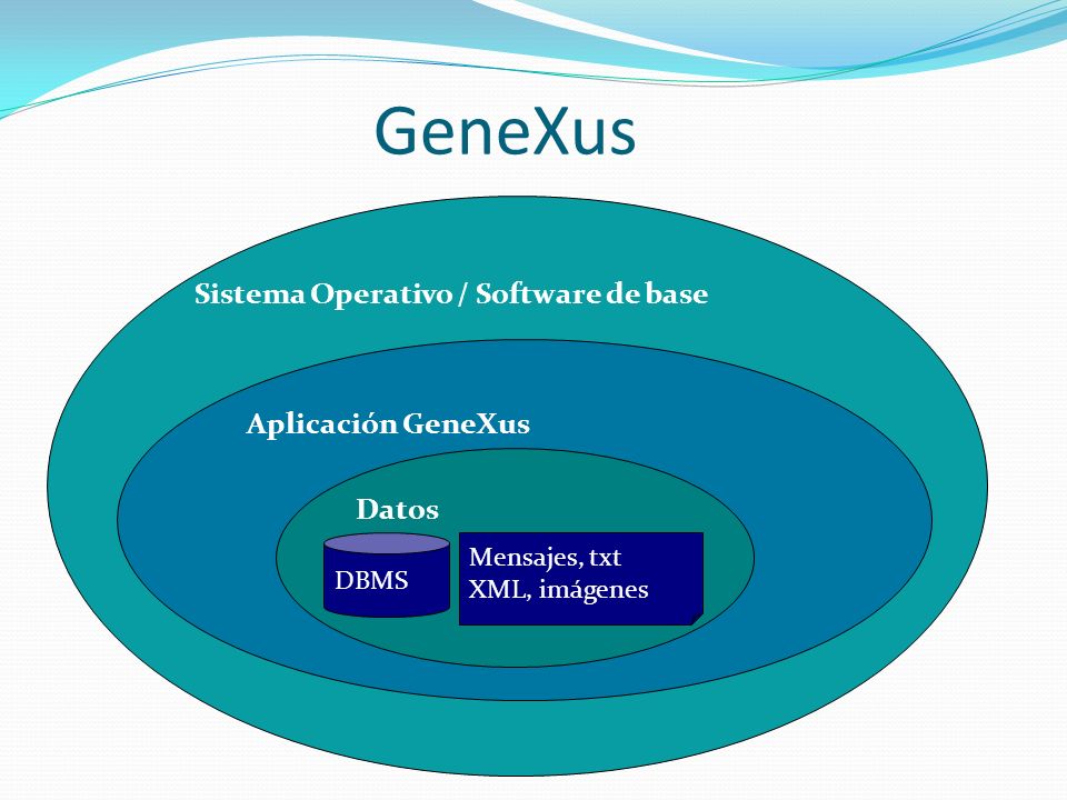 GeneXus Sistema Operativo / Software de base Aplicación GeneXus Datos