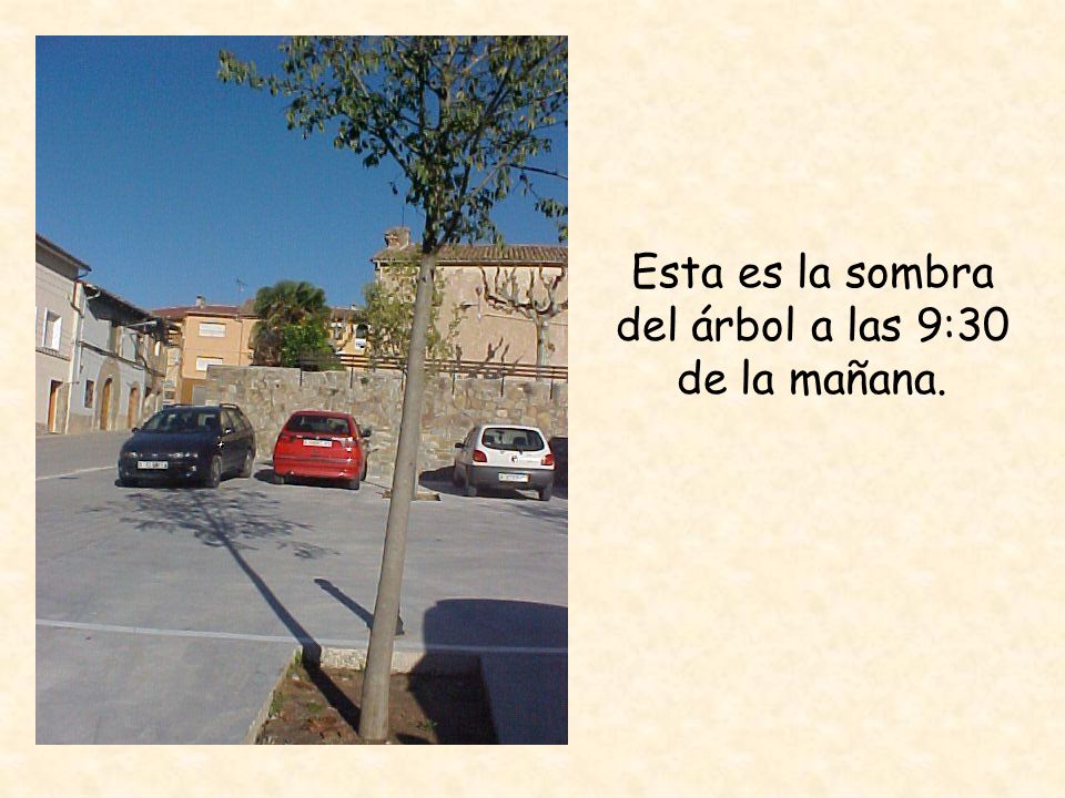 Esta es la sombra del árbol a las 9:30 de la mañana.