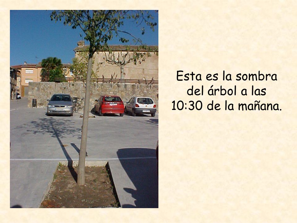 Esta es la sombra del árbol a las 10:30 de la mañana.