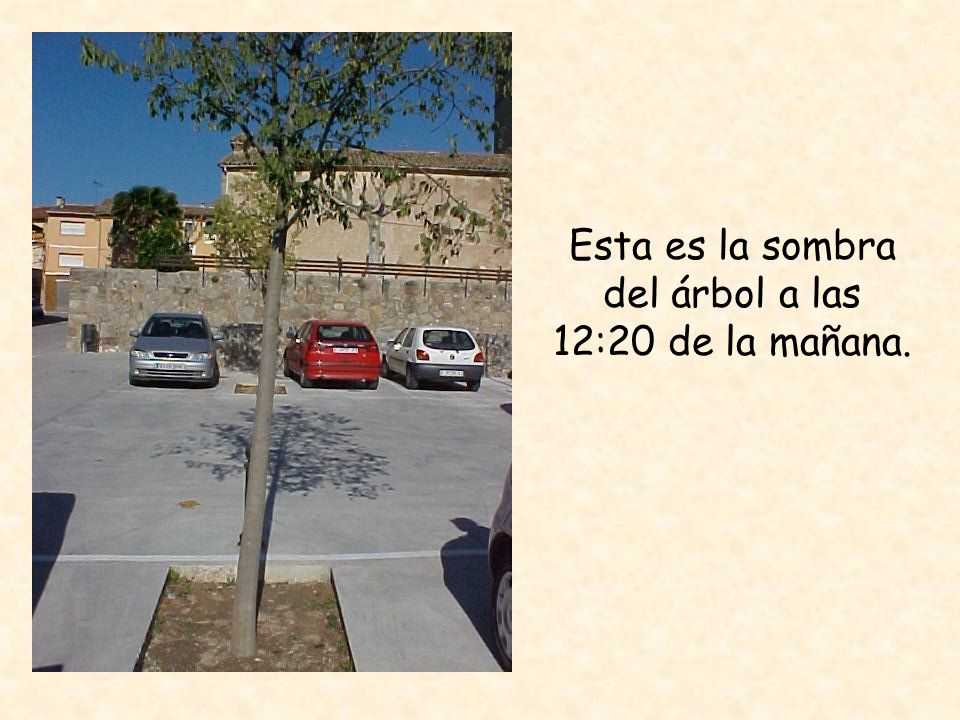 Esta es la sombra del árbol a las 12:20 de la mañana.