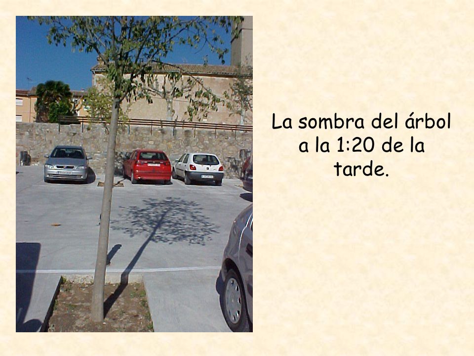 La sombra del árbol a la 1:20 de la tarde.