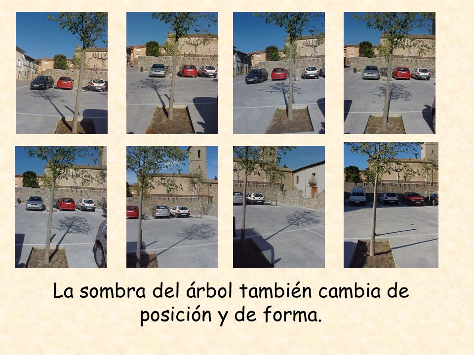 La sombra del árbol también cambia de posición y de forma.