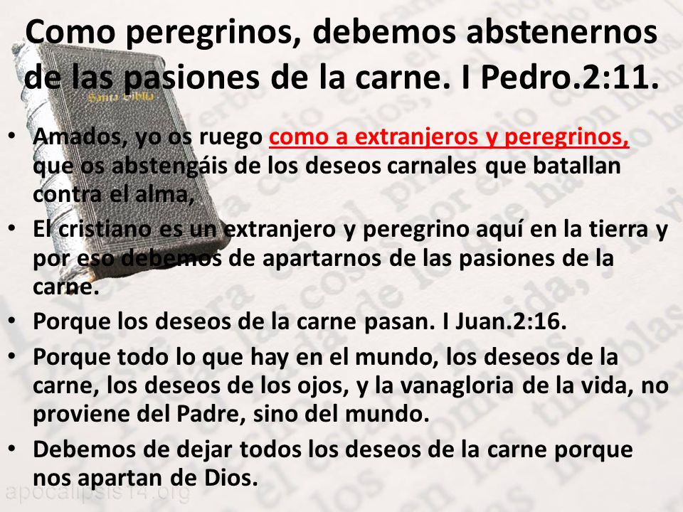 Como peregrinos, debemos abstenernos de las pasiones de la carne
