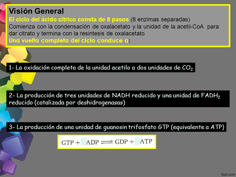 Visión General El ciclo del ácido cítrico consta de 8 pasos (8 enzimas separadas)