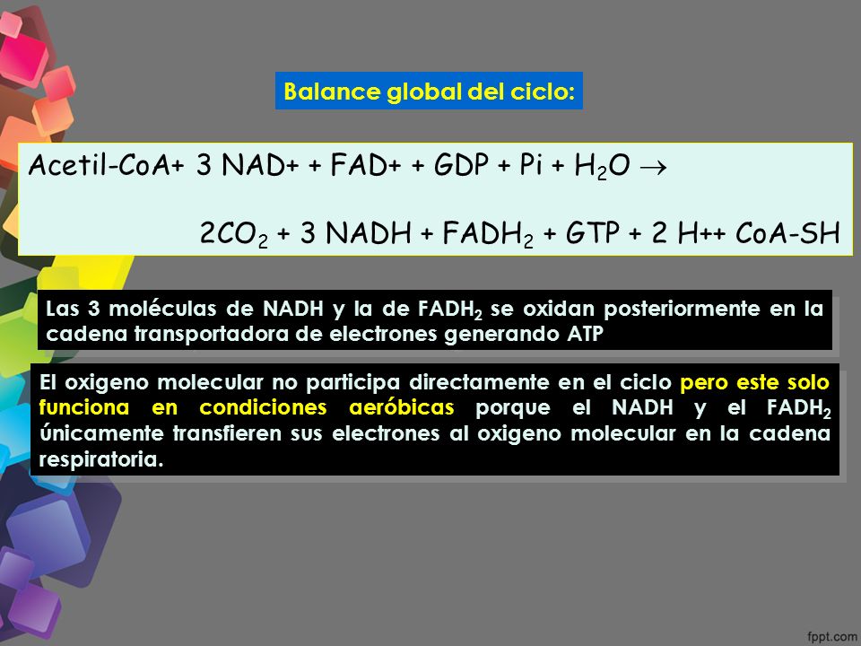 Acetil-CoA+ 3 NAD+ + FAD+ + GDP + Pi + H2O 