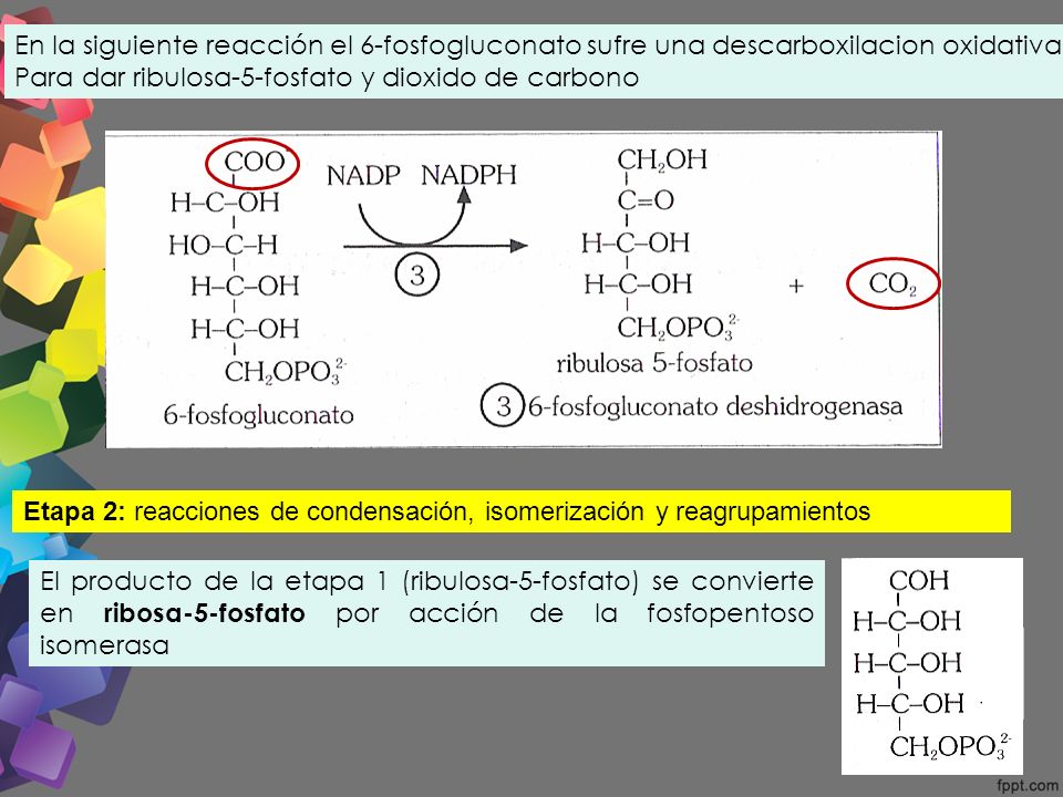 En la siguiente reacción el 6-fosfogluconato sufre una descarboxilacion oxidativa
