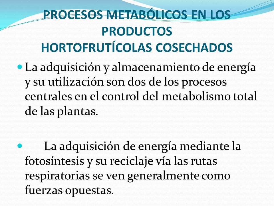 PROCESOS METABÓLICOS EN LOS PRODUCTOS HORTOFRUTÍCOLAS COSECHADOS
