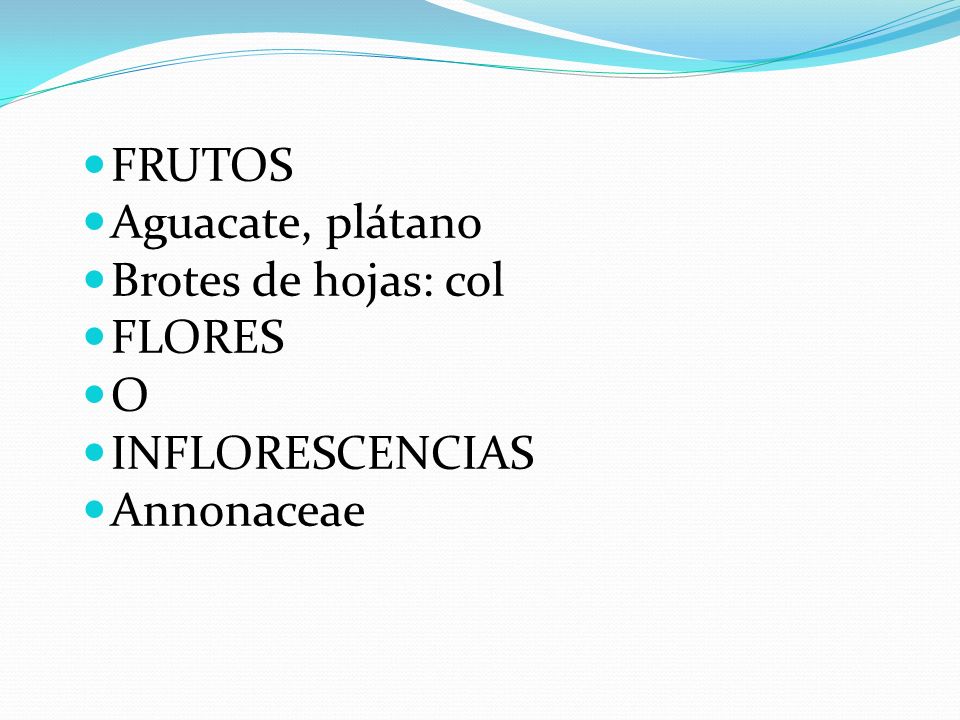 FRUTOS Aguacate, plátano Brotes de hojas: col FLORES O INFLORESCENCIAS Annonaceae