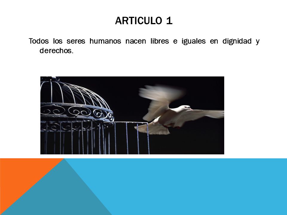 aRTICULO 1 Todos los seres humanos nacen libres e iguales en dignidad y derechos.